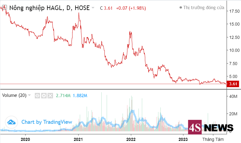 HAGL Agrico (HNG) lỗ quý thứ 10 liên tiếp, đang nợ HAGL hơn 1.300 tỷ đồng